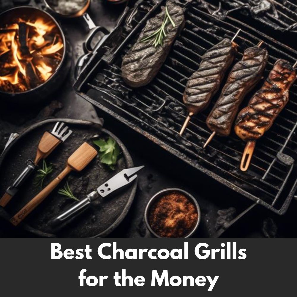 Best Charcoal Grills for the Money